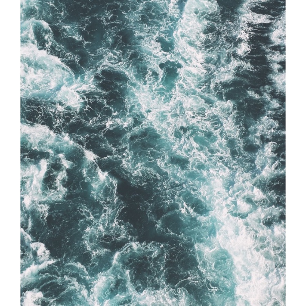 Meet your Posher, Maggie